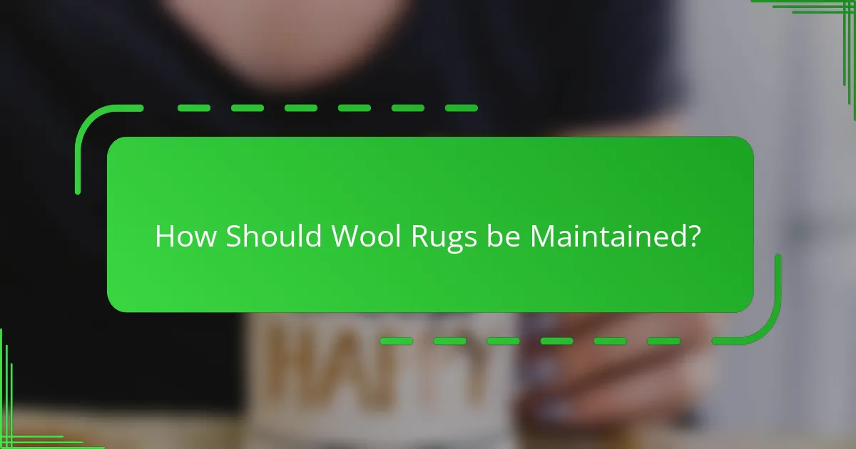 How Should Wool Rugs be Maintained?
