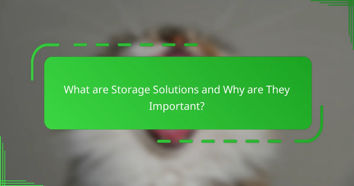 What are Storage Solutions and Why are They Important?