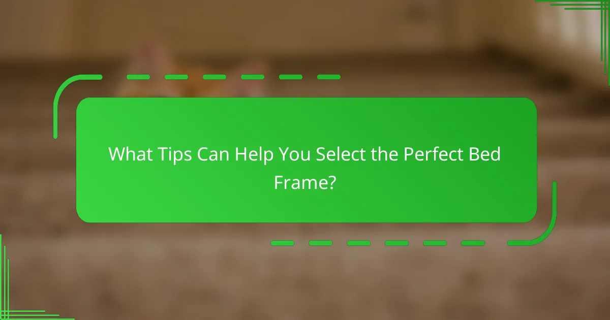 What Tips Can Help You Select the Perfect Bed Frame?